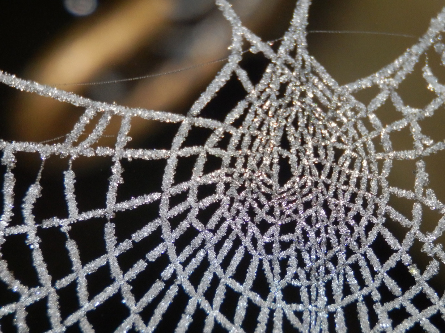 Dentelle de givre