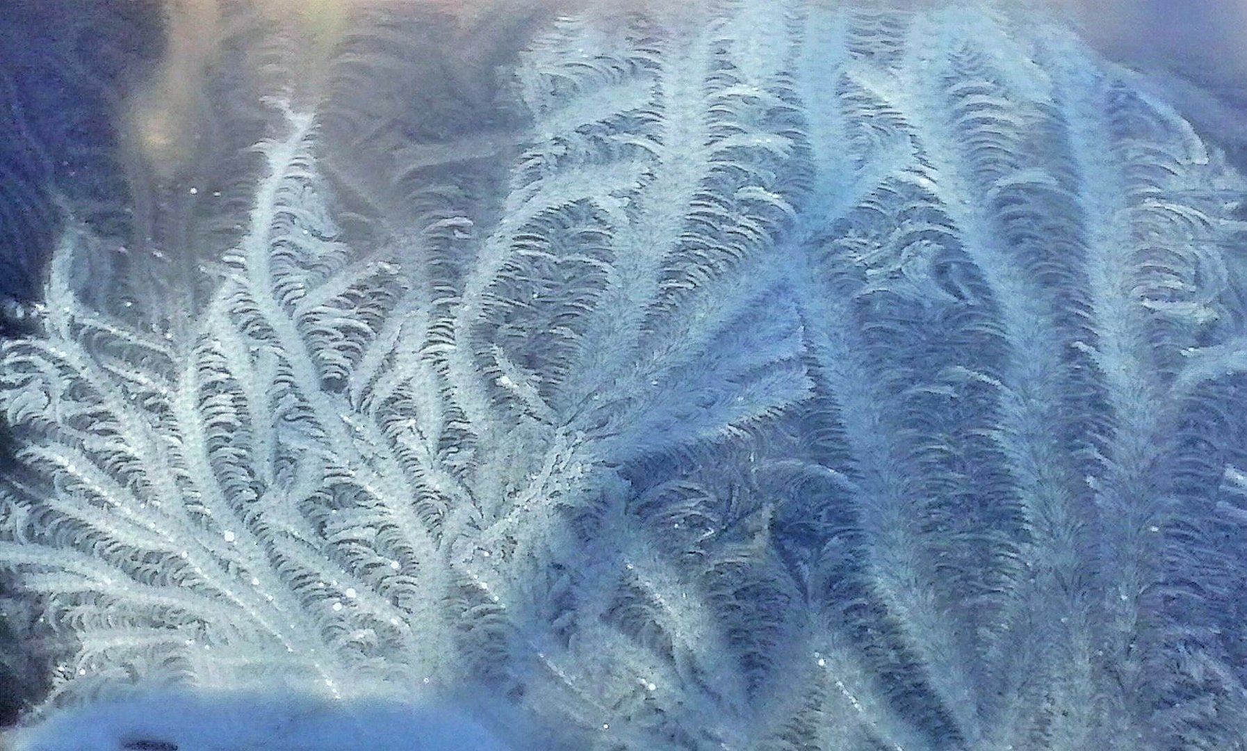 dentelle de glace