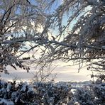 Dentelle hivernale