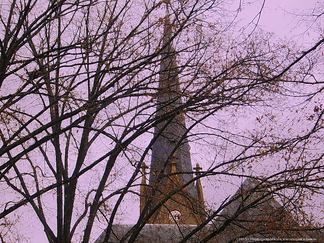 Dentelle végétale à la gelée hiver-automnale