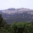 Dentelles de Montmirail (2007)