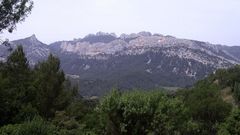 Dentelles de Montmirail (2007)