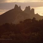 Dentelles de Montmirail