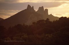 Dentelles de Montmirail