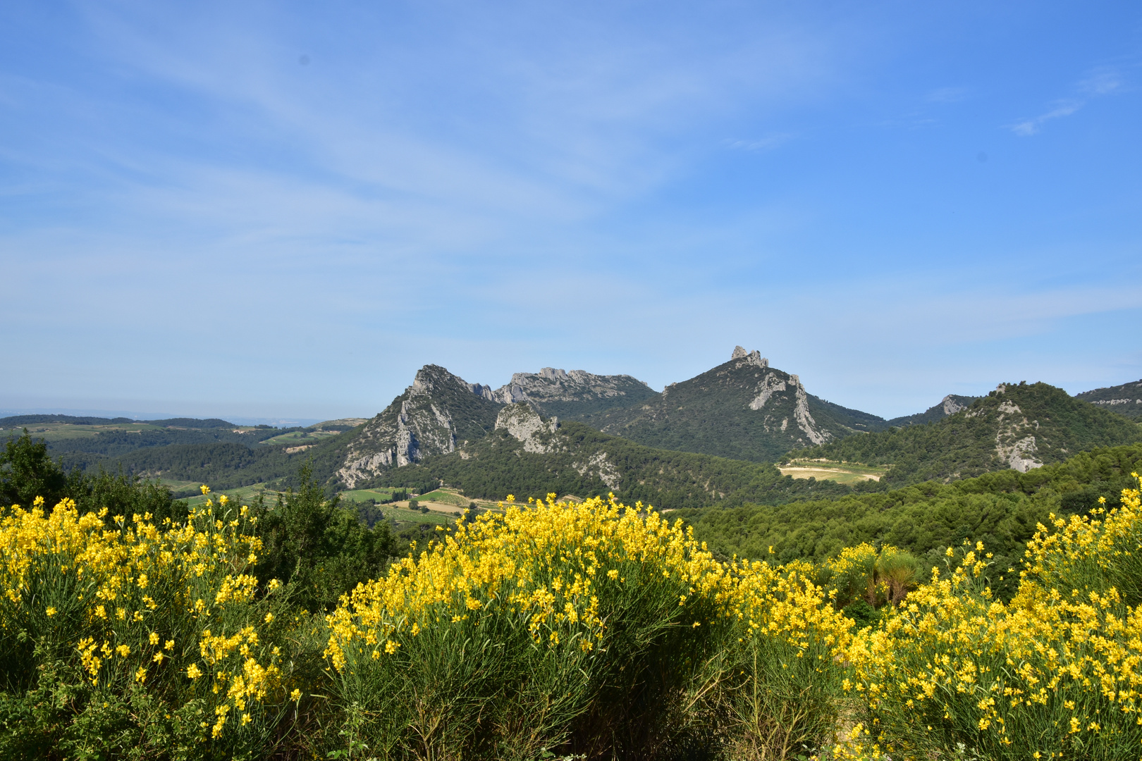 Dentelles de Montmirail 