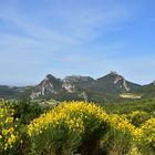 Dentelles de Montmirail 