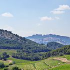 Dentelles de Montmirail