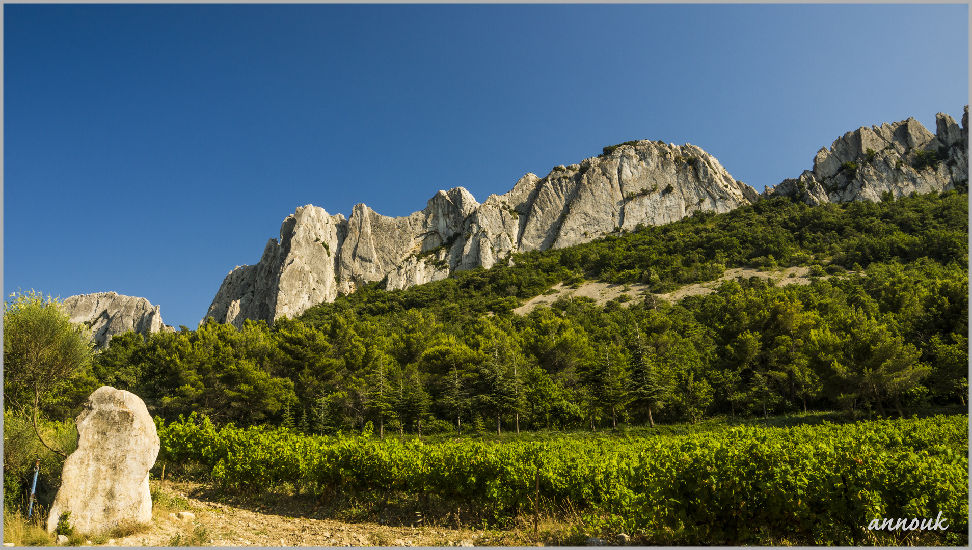 Dentelles de Montmirail (Provence)