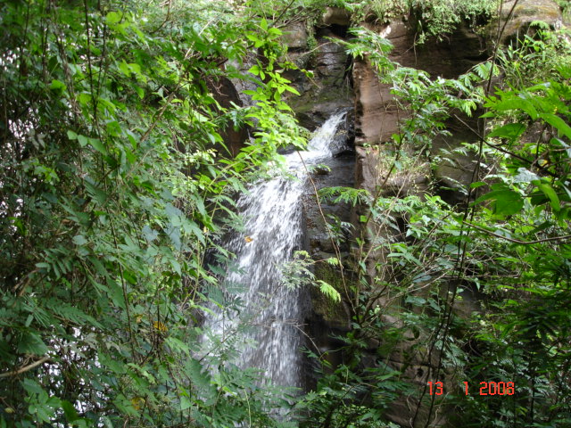 Dentro del Parque Nacional Iguazú