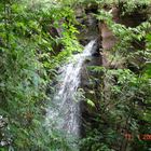 Dentro del Parque Nacional Iguazú