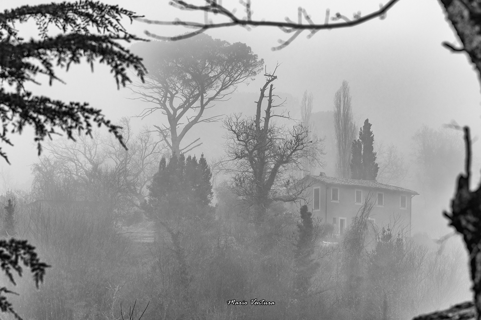 Dentro la nebbia