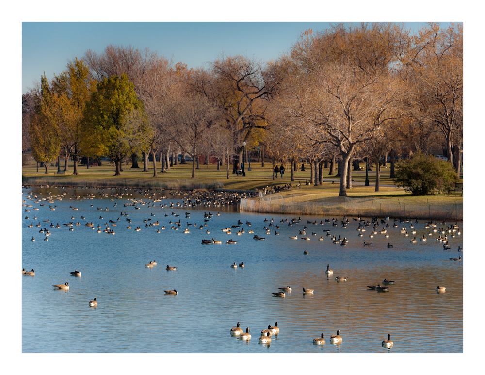 Denver City Park