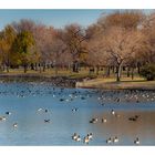 Denver City Park