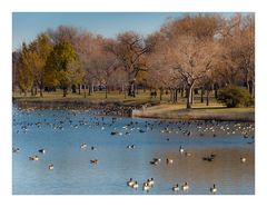 Denver City Park