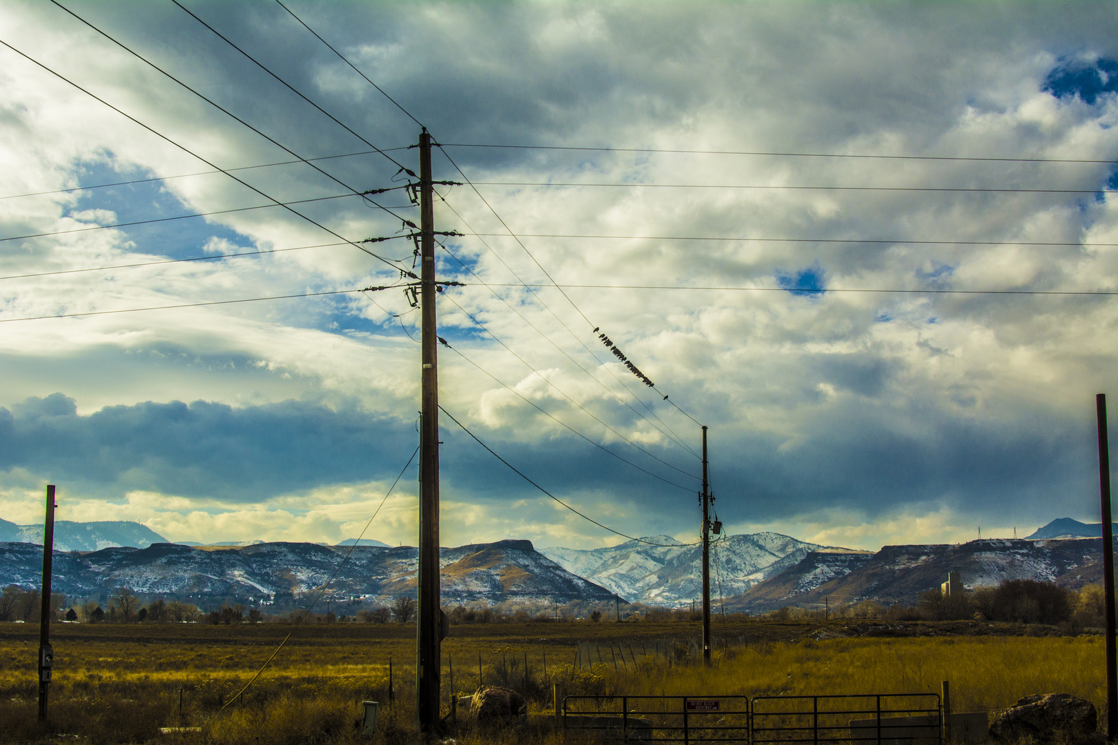 Denver Landscape 2