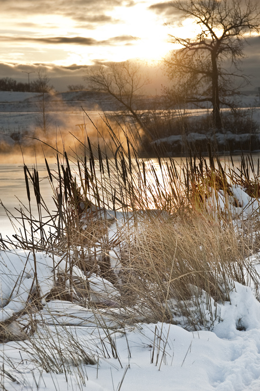 Denver Winter Landschaft