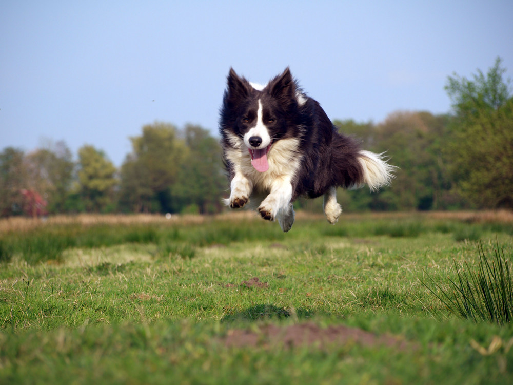 Denzel flying high