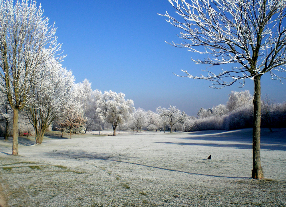 Denzlingen: am Heimatweg im Winter