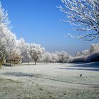 Denzlingen: am Heimatweg im Winter