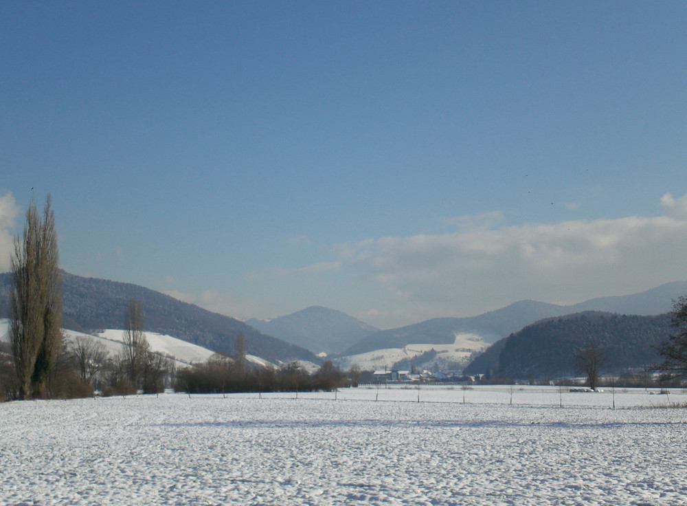 Denzlingen: Blick ostwärts ins winterliche Glottertal 1