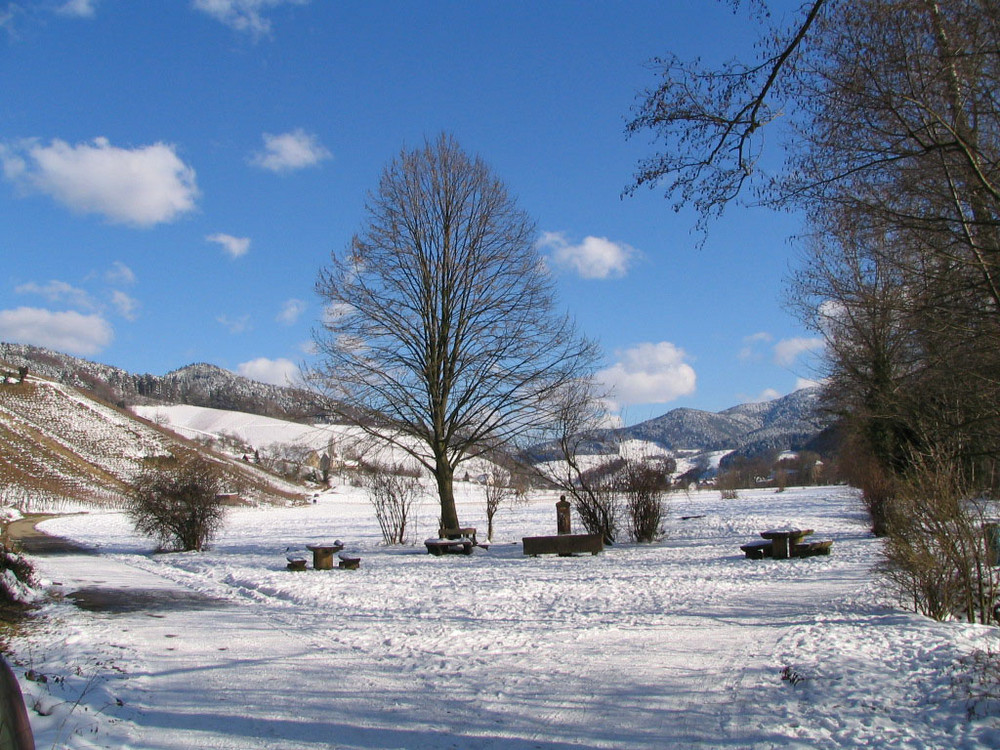 Denzlingen: Blick ostwärts ins winterliche Glottertal 2