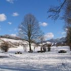 Denzlingen: Blick ostwärts ins winterliche Glottertal 2