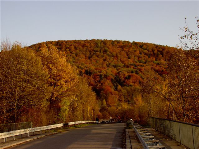 Denzlingen: Brücke zum herbstlichen Einbollen