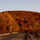 Denzlingen: Brücke zum herbstlichen Einbollen