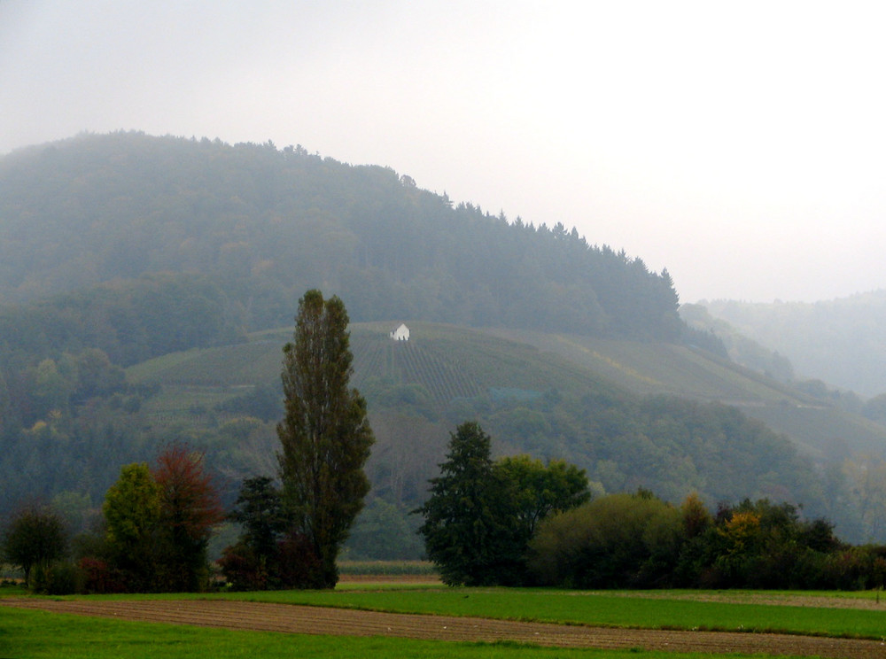 Denzlingen: das Rebhäusle im Nebel