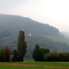 Denzlingen: das Rebhäusle im Nebel