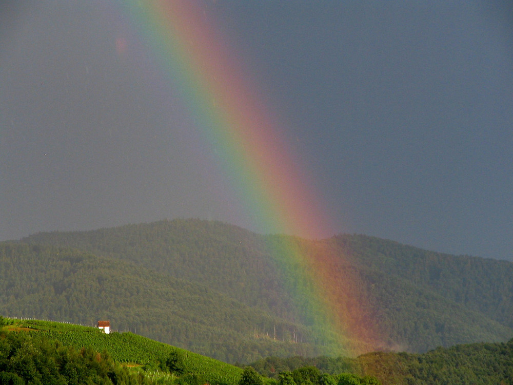 Denzlingen: das Rebhäusle unterm Regenbogen