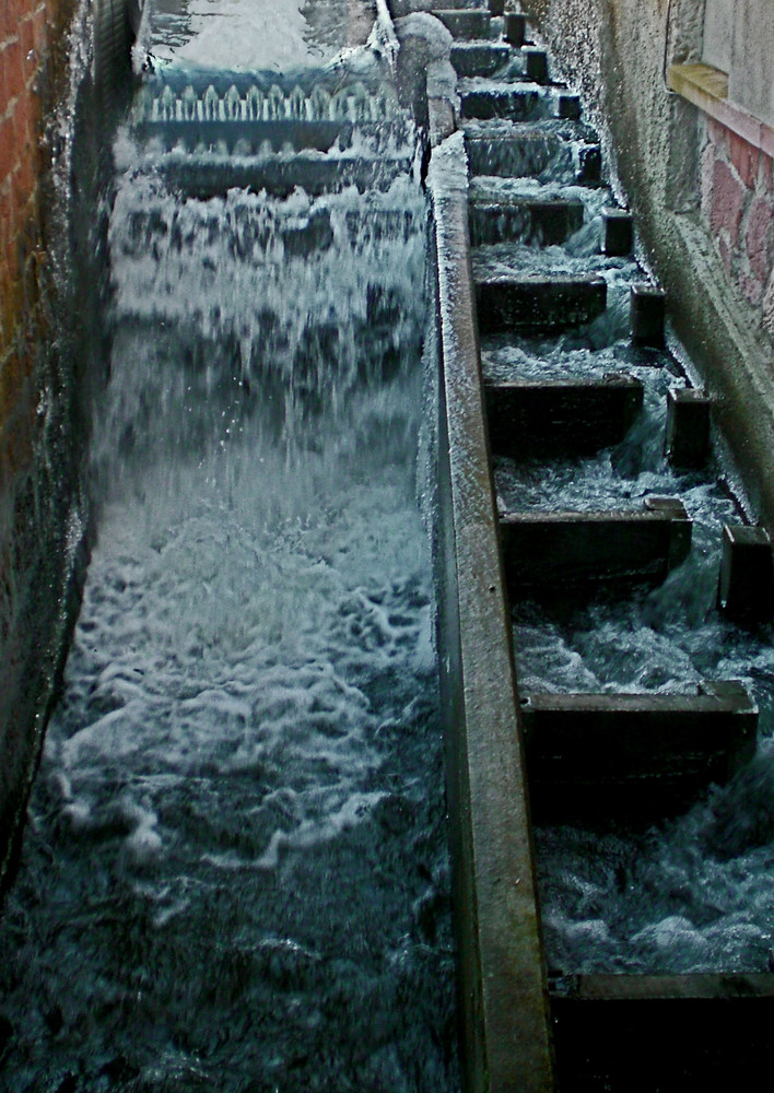 Denzlingen: Glotterrad mit Fischtreppe an der Rocca