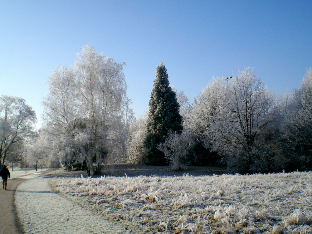 Denzlingen: Heimatweg im Winter