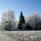 Denzlingen: Heimatweg im Winter