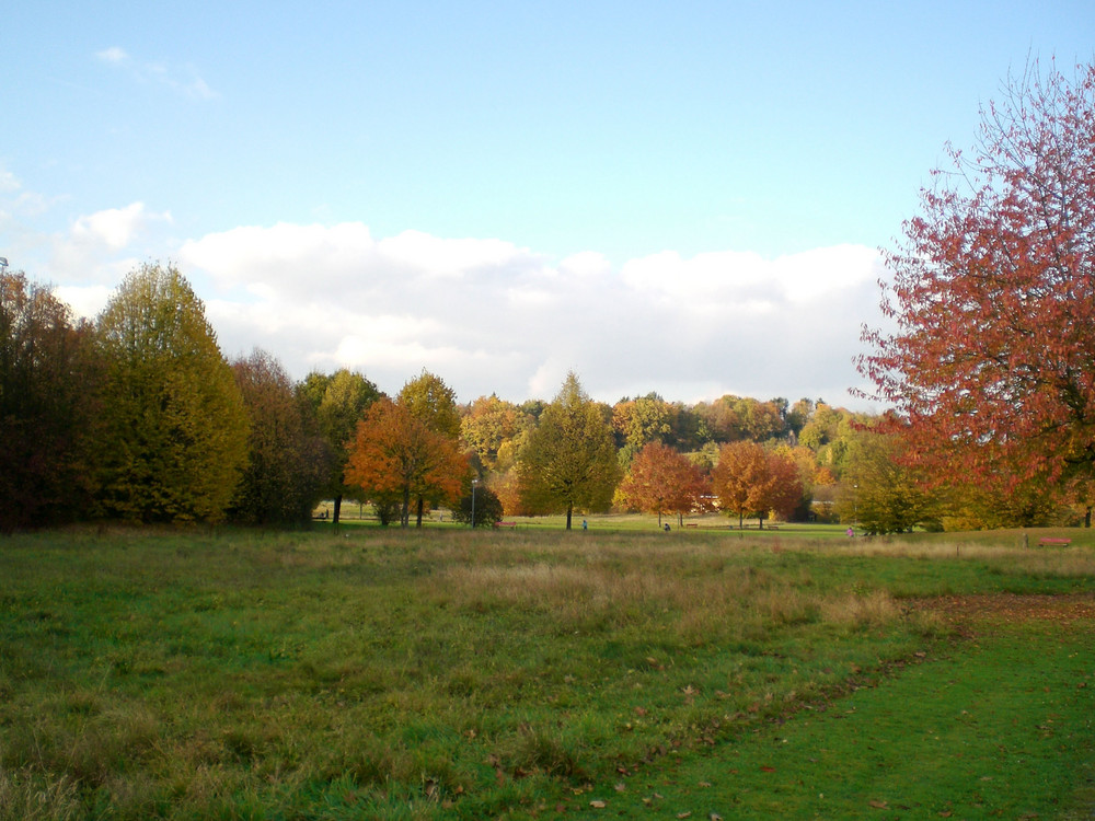 Denzlingen: Herbst im Stadtpark 1
