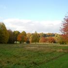 Denzlingen: Herbst im Stadtpark 1