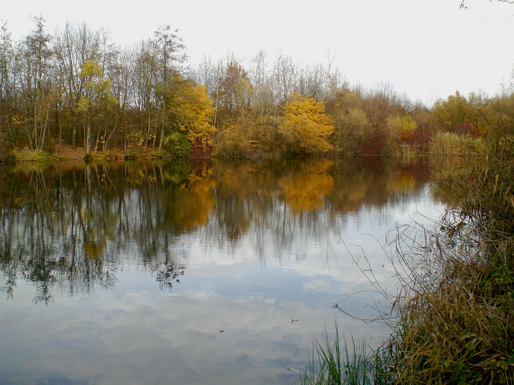 Denzlingen: im Herbst am Heidachsee