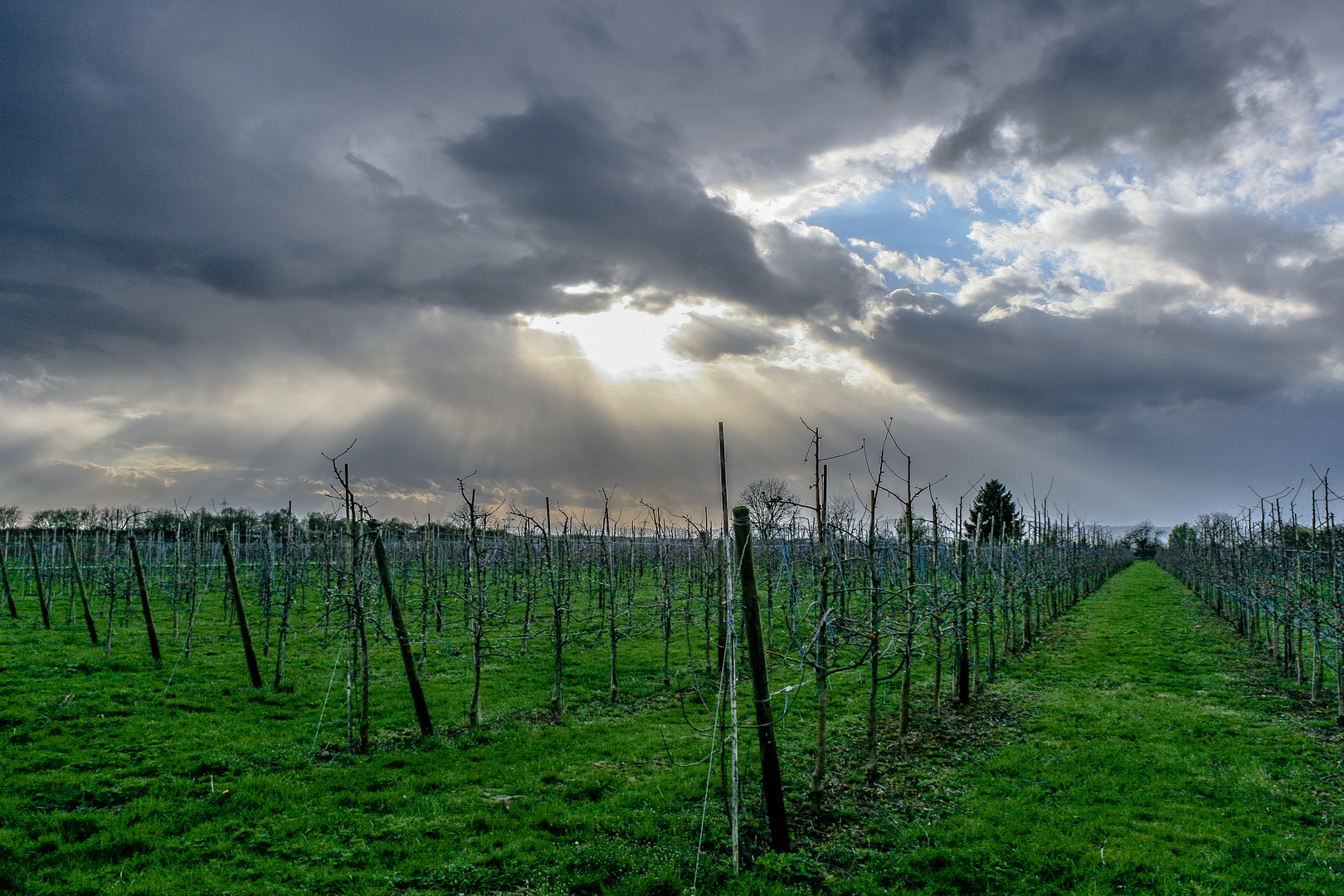 Denzlingen nach Sturm Mike 2015