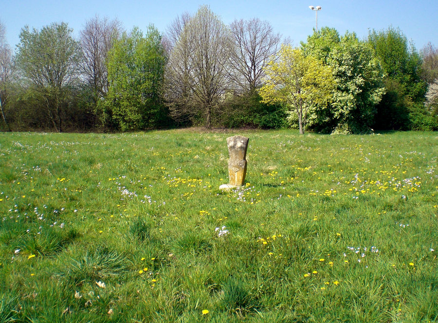 Denzlingen: Sommer im Stadtpark