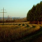 Denzlingen: Wiesenweg gegen Abend