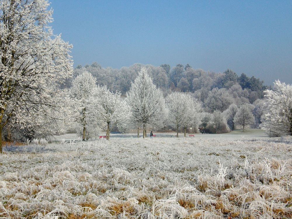 Denzlingen: Winter im Stadtpark 1