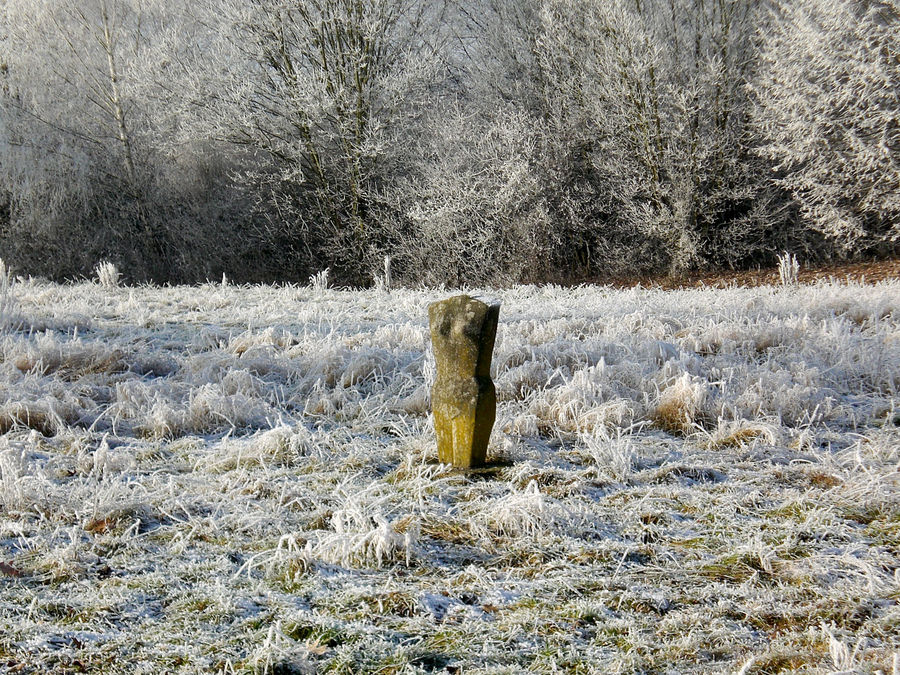 Denzlingen: Winter im Stadtpark 2