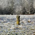 Denzlingen: Winter im Stadtpark 2