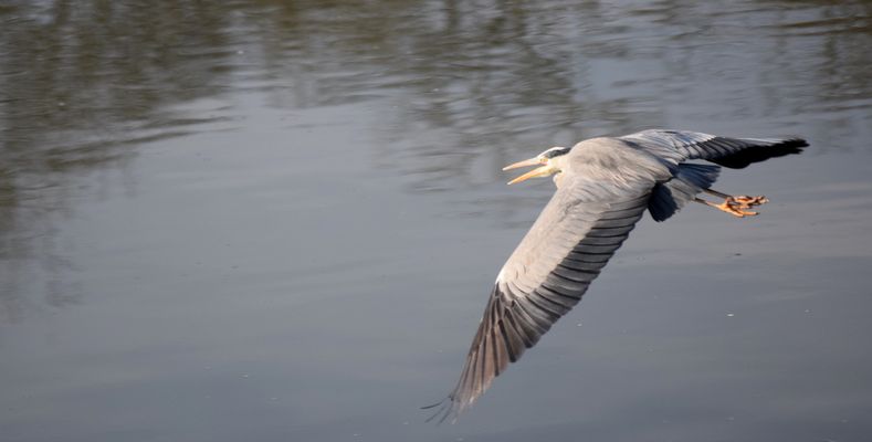 départ pour une nouvelle année