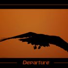 departure