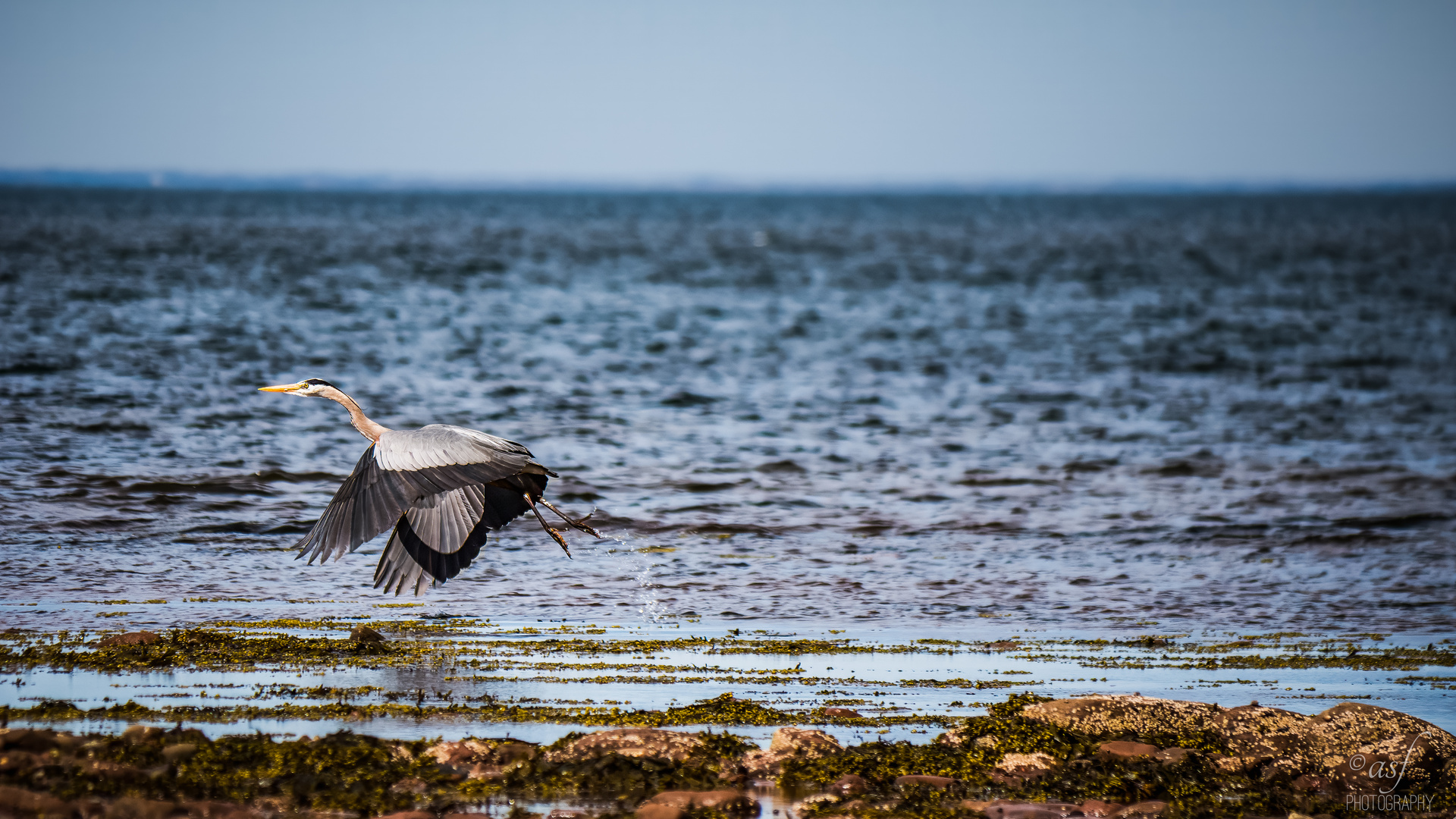 Departure at Caribou Beach, Nova Scotia, Kanada