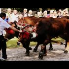 Deporte rural vasco