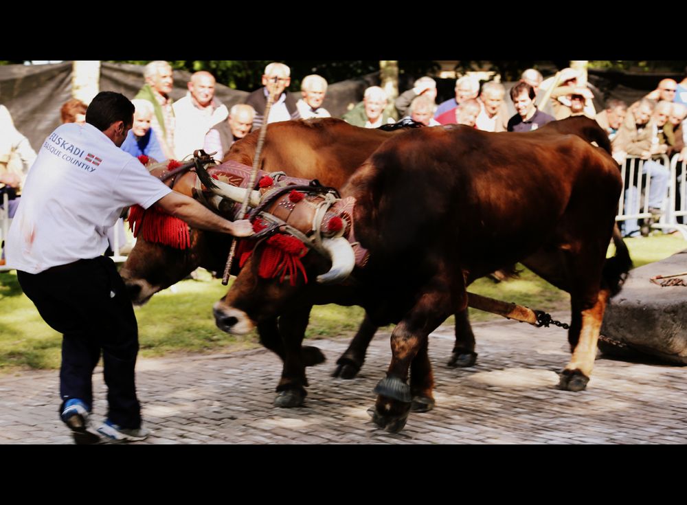 Deporte rural vasco