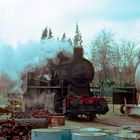 Deposito Locomotive di Siena