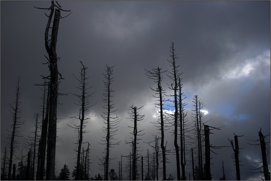 depressionen aus dem harz [no.7]